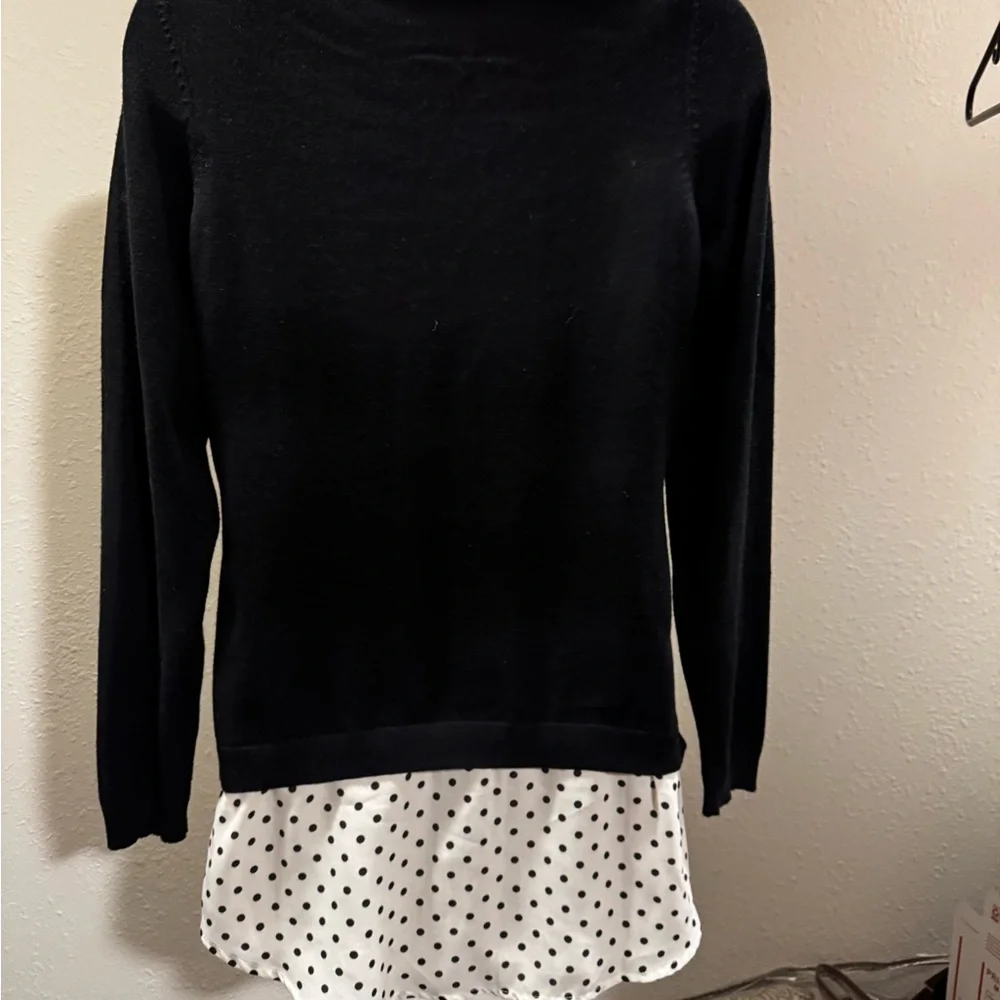 Adrianna Pappell Polkadot Sweater Blouse - Picture 3 of 4